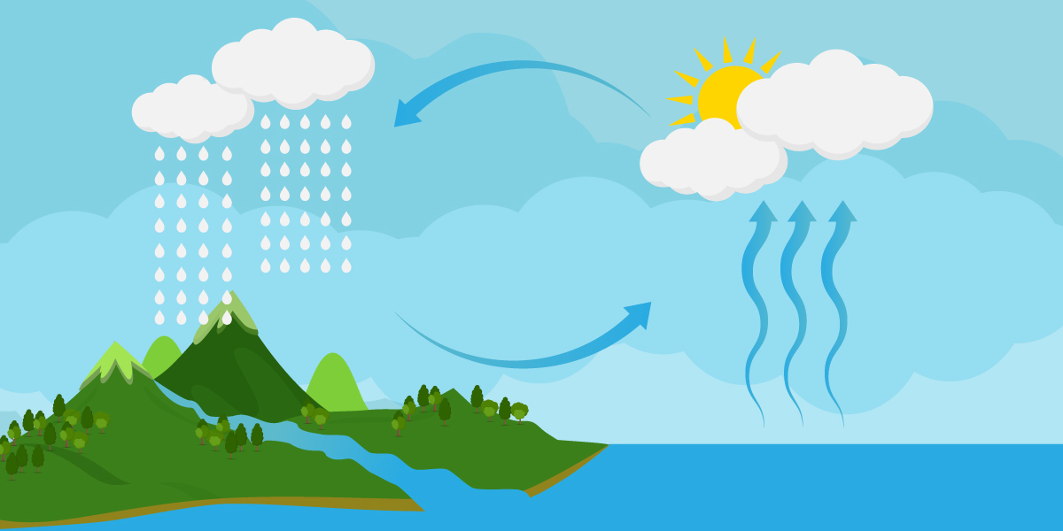 What is the Water Cycle?